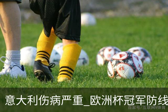 意大利伤病严重 欧洲杯冠军防线或全部无法上场